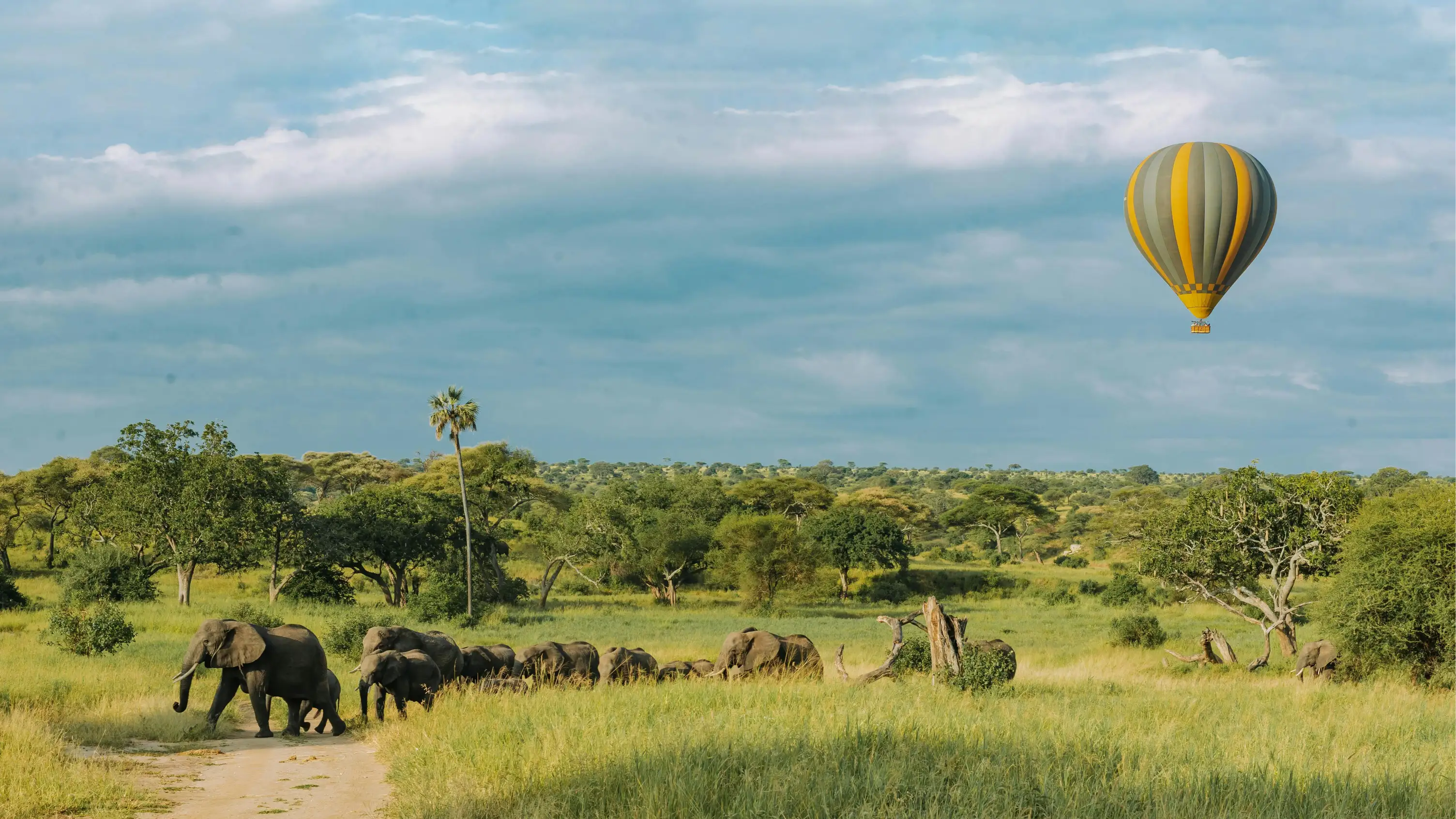 Tarangire National Park