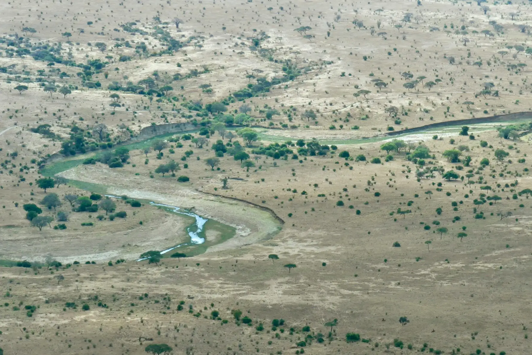 Tarangire National ParkImage1