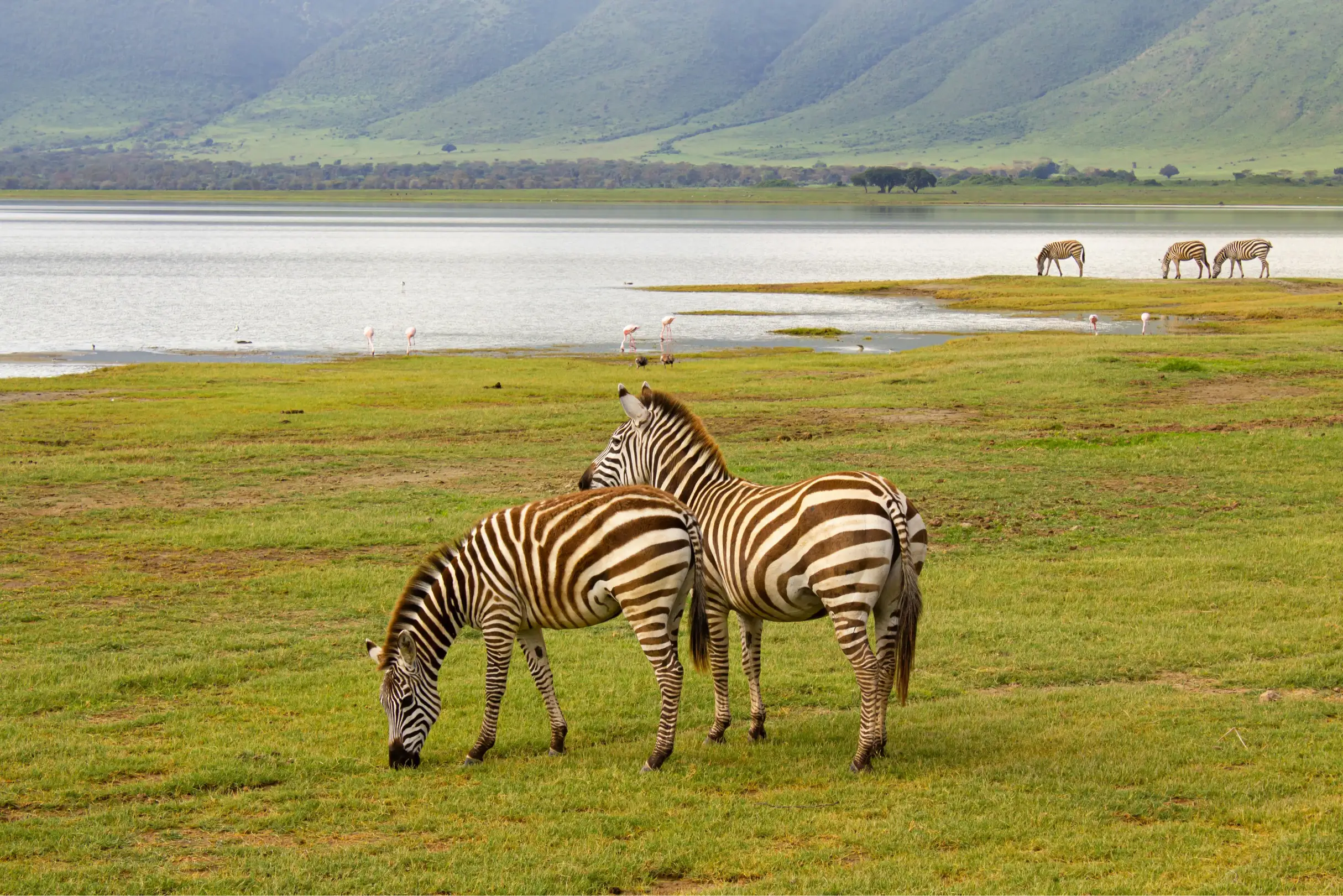 Ngorongoro Conservation AreaImage1