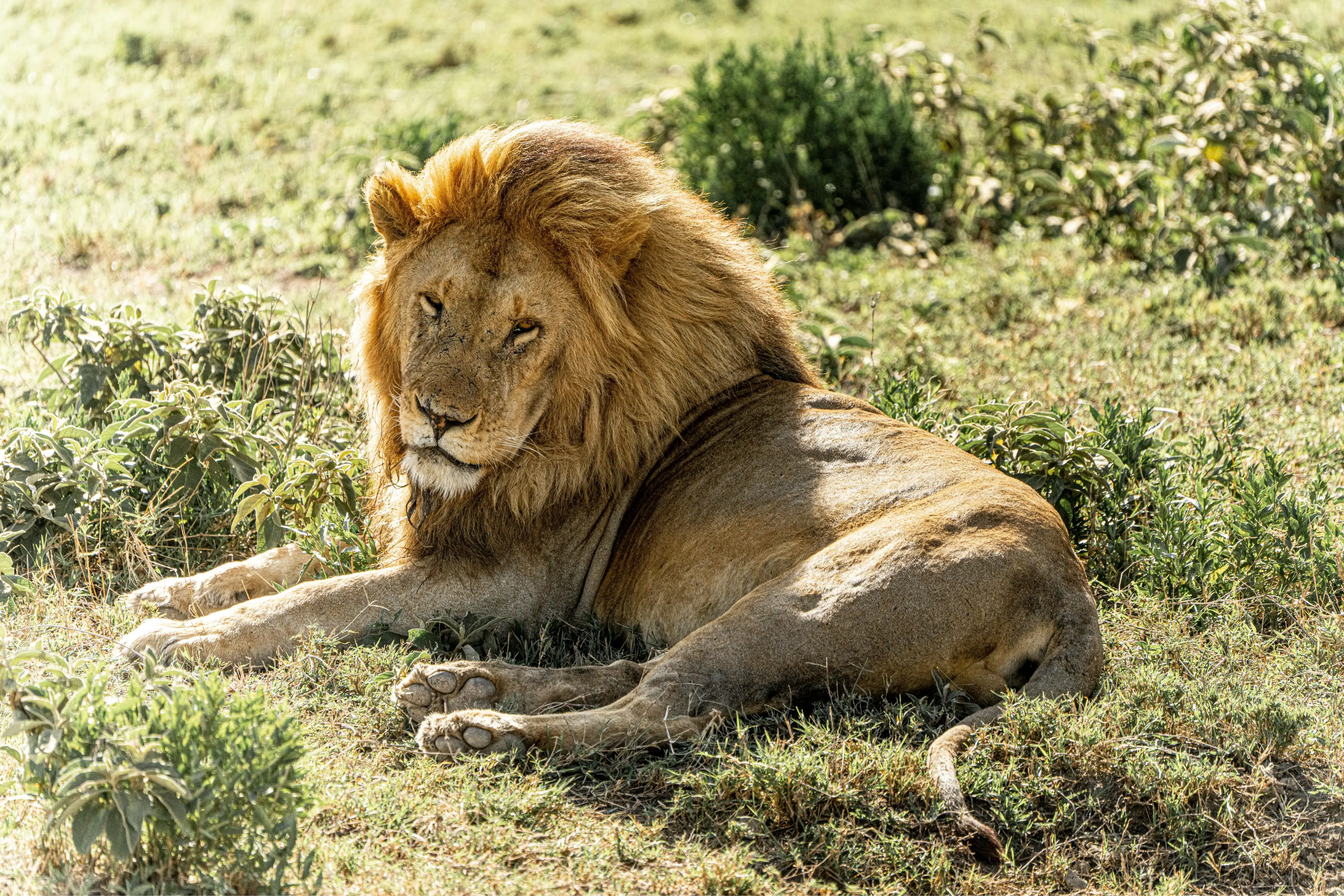 Arusha National ParkImage1